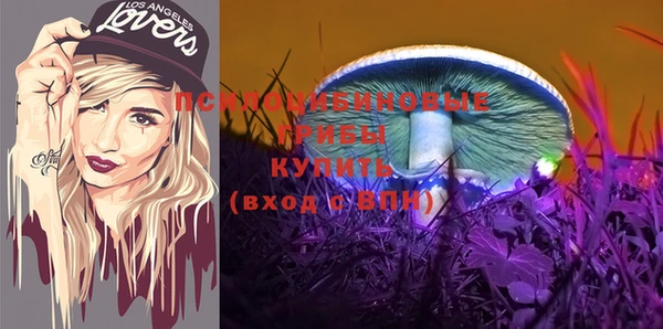 герыч Алексин