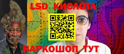 спиды Кингисепп