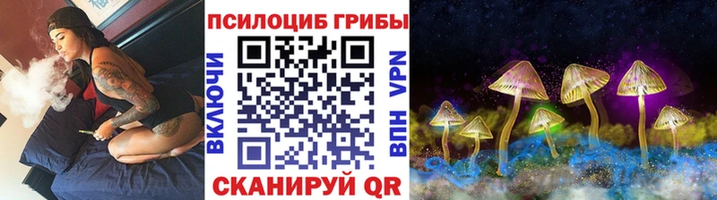 Псилоцибиновые грибы GOLDEN TEACHER  Кудымкар 