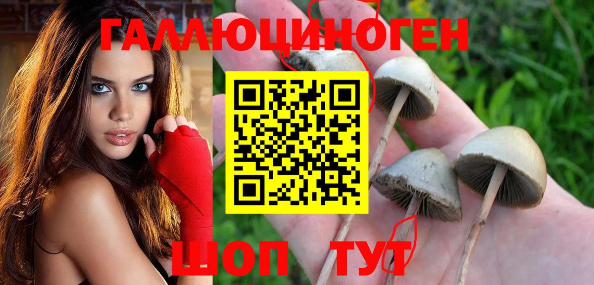 Псилоцибиновые грибы GOLDEN TEACHER  Галлюциногенные грибы мухоморы  что такое наркотик  Кудымкар  Вход с VPN 